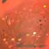 Orange Peel II - Oilbar on Paper - Image 16" x 16" - Paper 30" x 22"