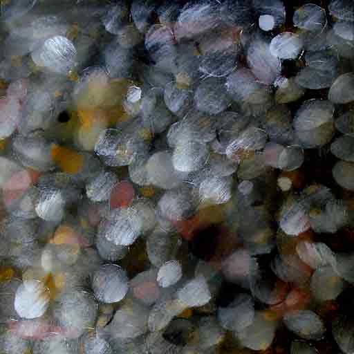Milestones - Oil Bar on Paper - Image 16" x 16" - Paper 30" x 22"