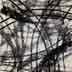 Cross Over IV - Oil Bar on Paper - Image 16" x 16" - Paper 30" x 22"