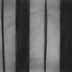 Split - Charcoal on Paper - Image 16" x 16" - Paper 30" x 22"