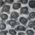 Sunday 2 - Charcoal on Paper - Image 16" x 16" - Paper 30" x 22"