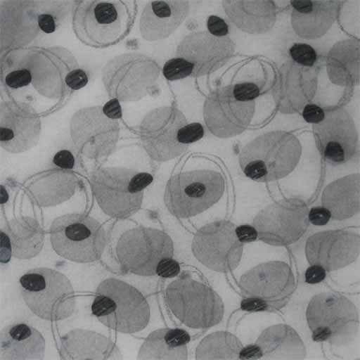 Sunday 4 - Charcoal on Paper - Image 16" x 16" - Paper 30" x 22"