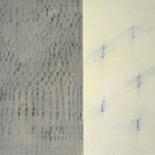 Cream 3 - Oil Bar on Paper - Image 16" x 16" - Paper 30" x 22"